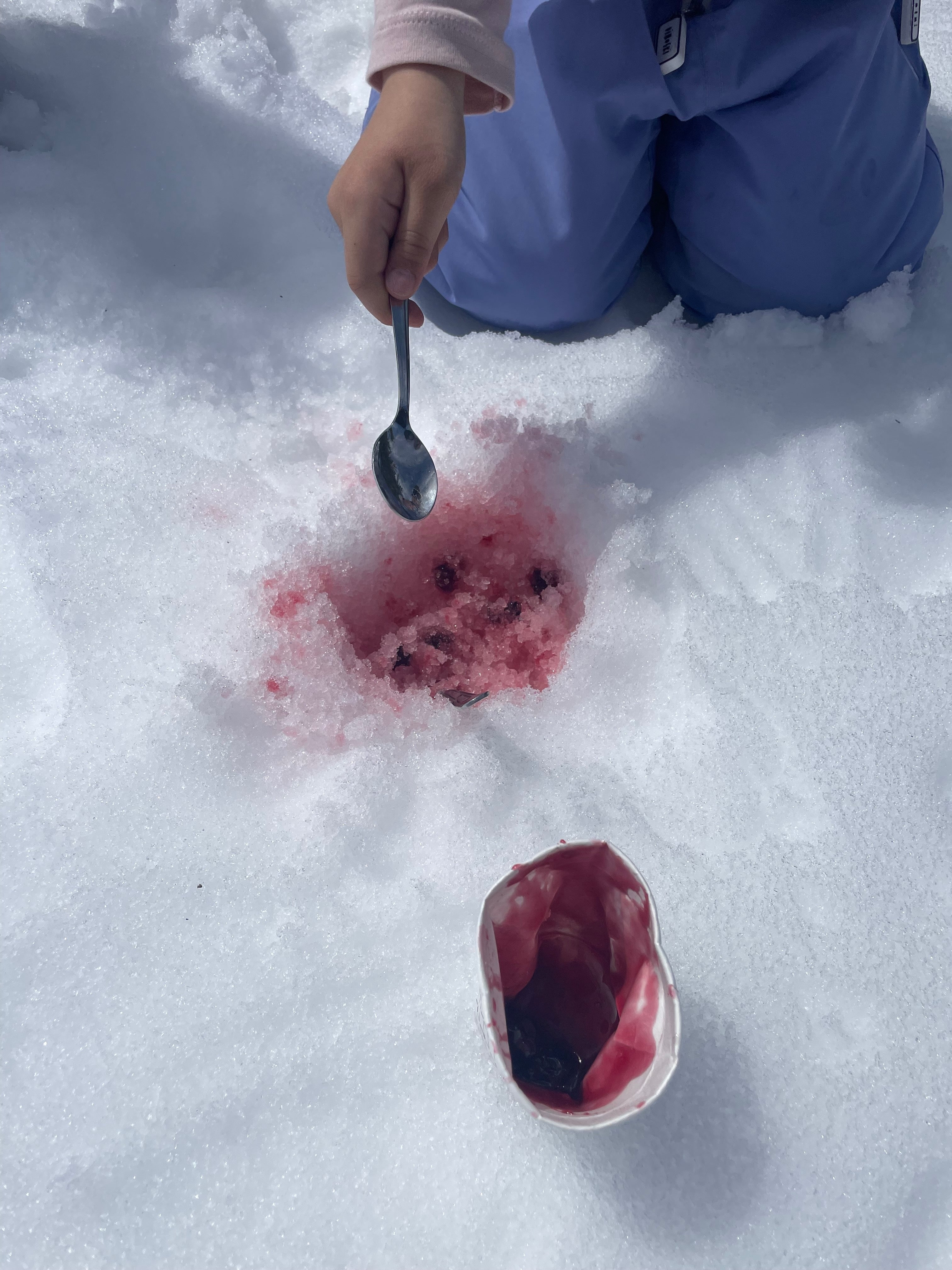 ICE CREAM MADE OF SNOW