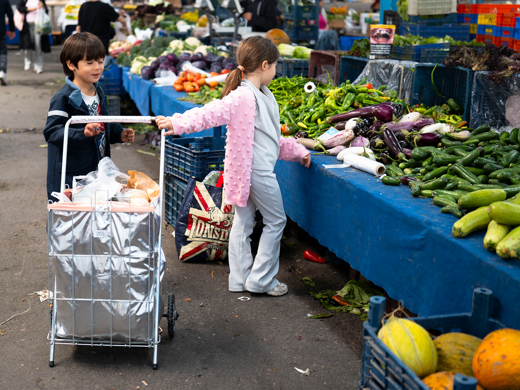 METALLICA MARKET TROLLEY
