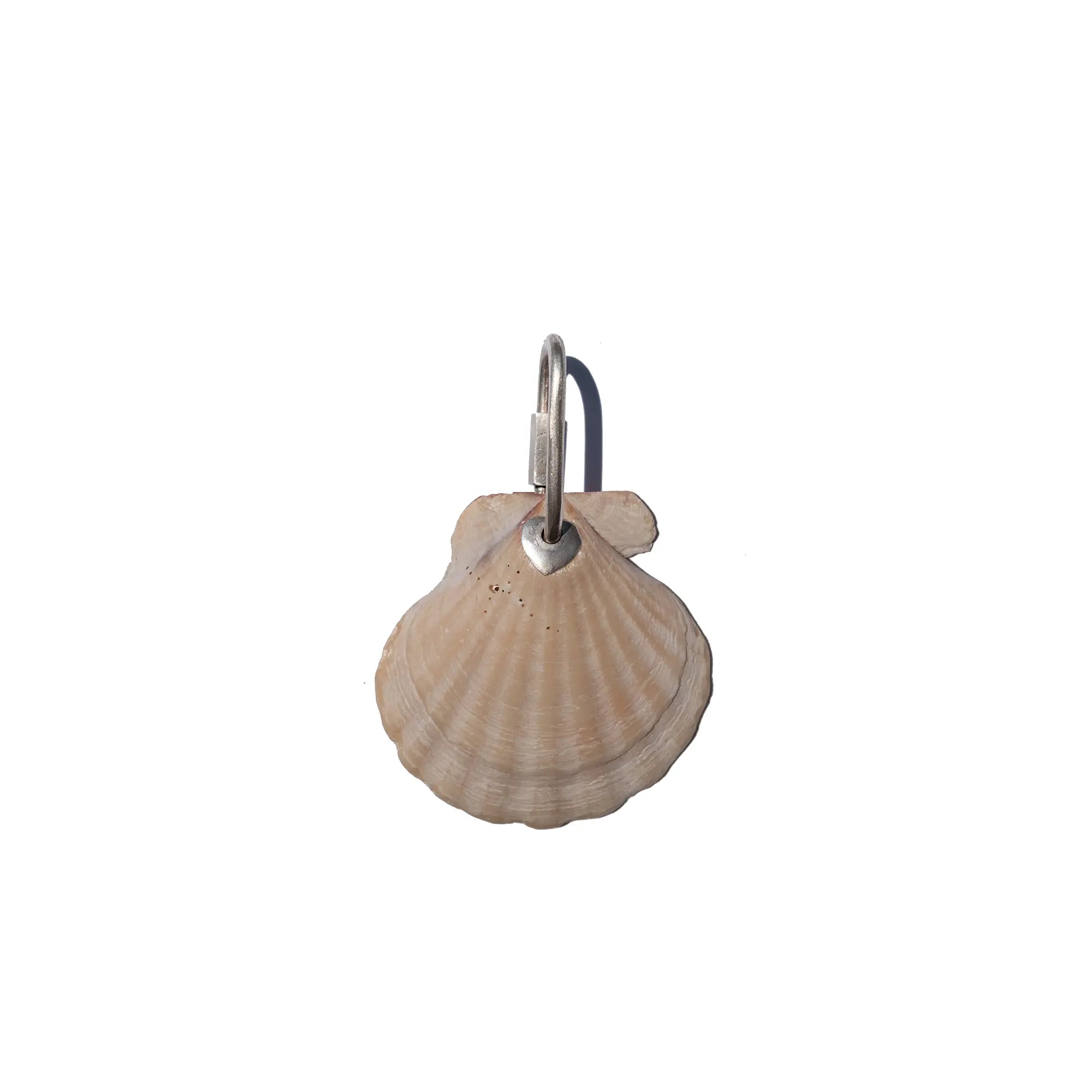 VENUS SHELL NECKLACE