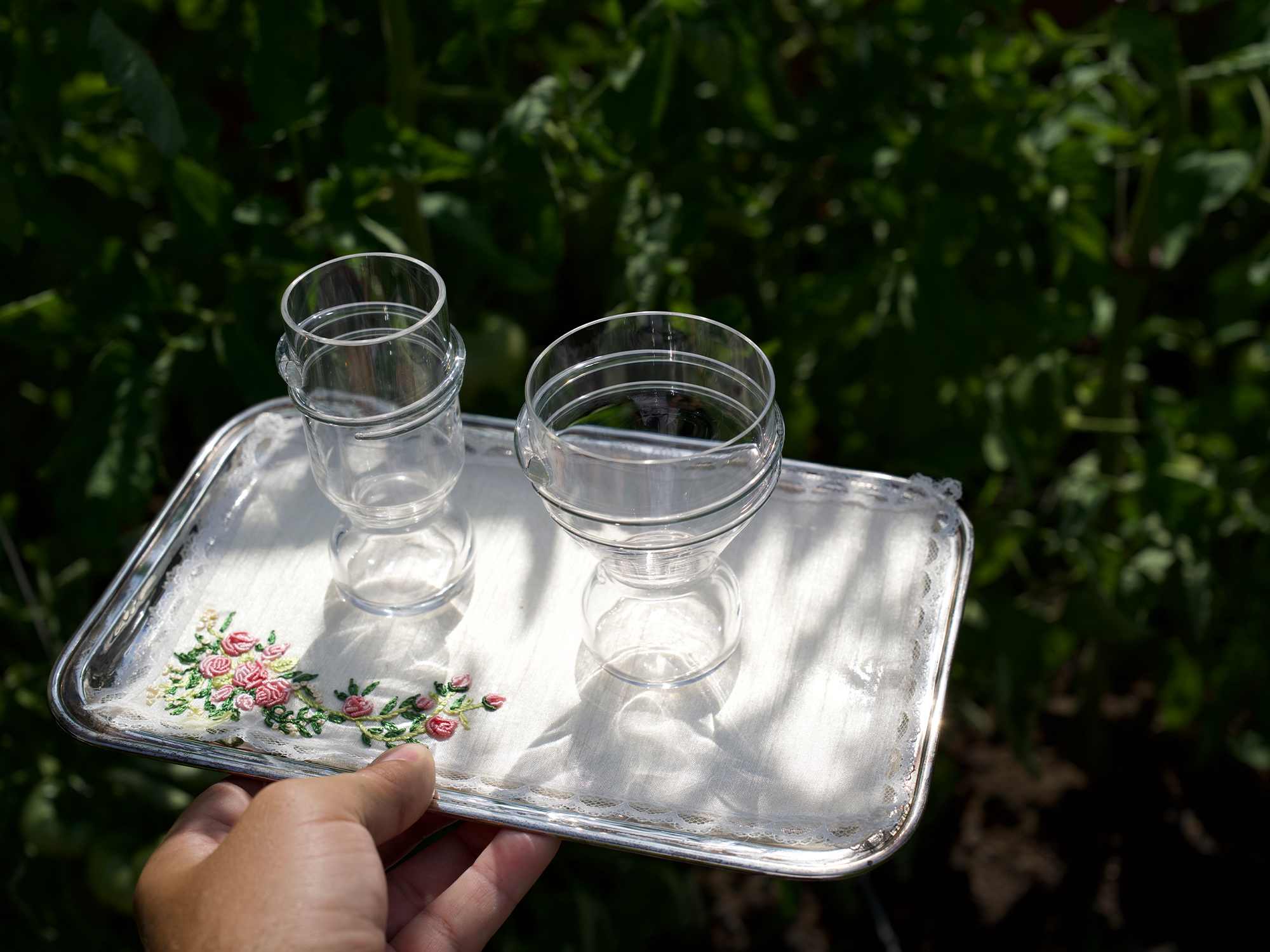 WORMED II Crystal Glasses